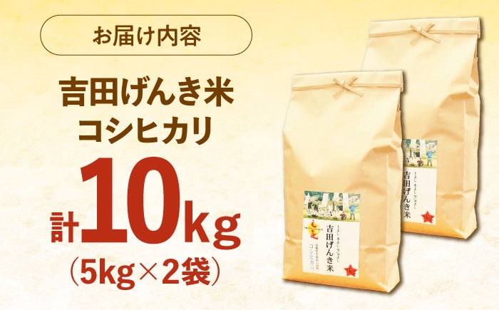 米 白米 コシヒカリ 10kg