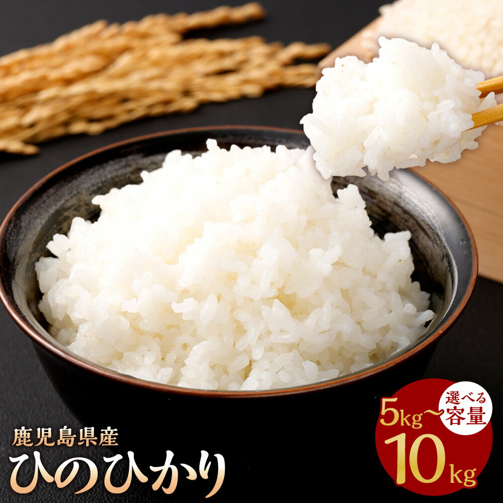 【ふるさと納税】＜選べる容量＞ 【新米先行予約】 KODAMAFARMS 鹿児島県産 ひのひかり 5kg もしくは 10kg（5kg×2袋）ヒノヒカリ お米 米 白米 精米 鹿児島県 薩摩川内市 送料無料 【KODA米】 【2026年1月下旬以降順次発送】