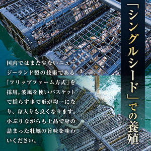 ひとくち 真牡蠣 (20個入) 真牡蠣 生がき 生牡蠣 かき 殻付き 貝 かい 一口サイズ 大分 佐伯 国産 ご当地 お取り寄せ グルメ 【GB001】【(株)海生】