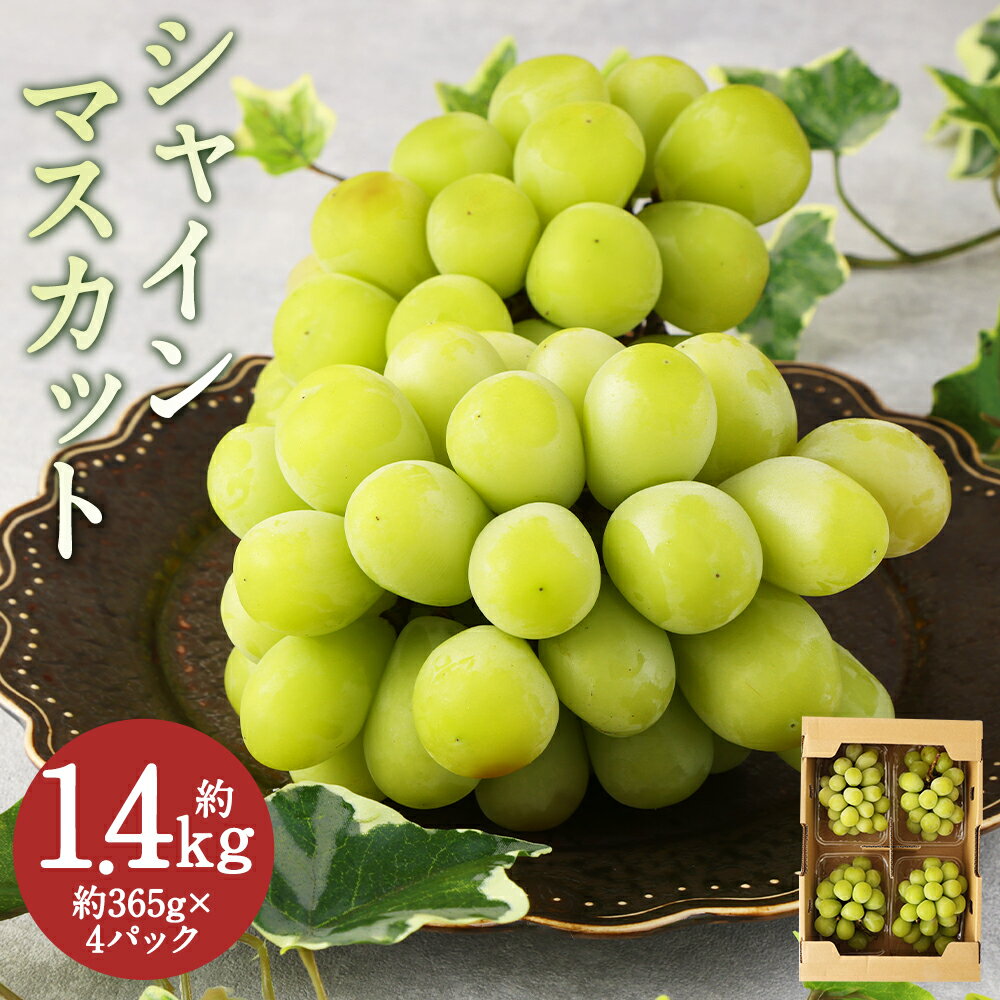 【ふるさと納税】シャインマスカット 合計約1.46kg 約365g×4パック ぶどう 葡萄 果物 フルーツ 九州産 福岡県産 冷蔵 送料無料 【2025年9月上旬から9月下旬に順次発送予定】