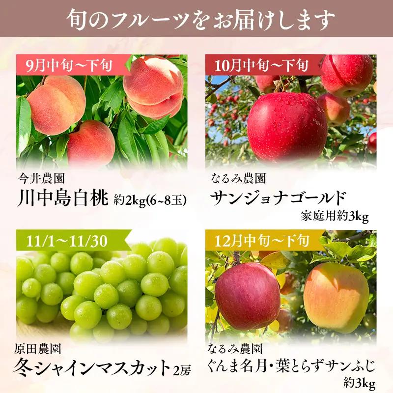 家庭用フルーツ定期便　4回(桃・シャインマスカット・りんご3種) りんご