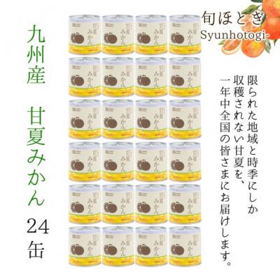 ふるさと納税 松浦市 缶詰工場直送　特選果実「旬ほとぎ」甘夏みかん24缶 |  | 01