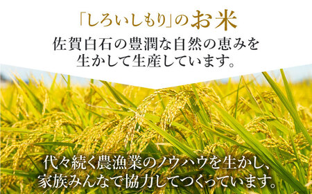 【令和6年度産】農家直送！しろいしもりのお米 さがびより 5kg 【Sunrise328】 米 佐賀県産米 ごはん ご飯 おにぎり お握り おむすび お結び 九州 [ICD009]