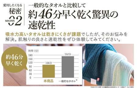 （今治タオルブランド認定品）ASiTA BALANCE シリーズ フェイスタオル２枚セット グレー【I002170FT2GY】