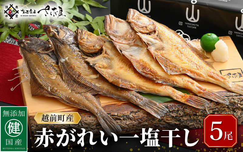 
干物 セット 赤がれい 一塩干し 大サイズ （1尾 × 5パック入り）1尾約170g【福井県産 赤カレイ 小分け 個包装 詰め合わせ 保存料・着色料 無添加 おかず 惣菜 冷凍食品】 [e04-a092]
