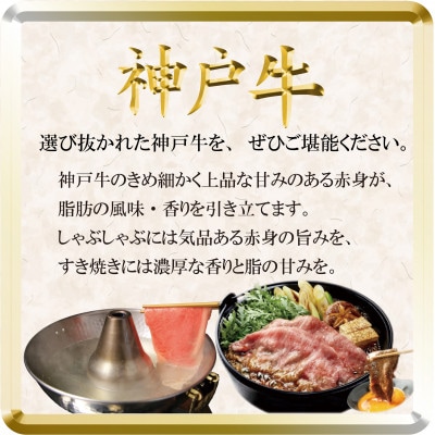 神戸牛 しゃぶしゃぶ・すき焼き用 500g TSS2 【2026年4月より順次発送】【配送不可地域：離島】【1682628】
