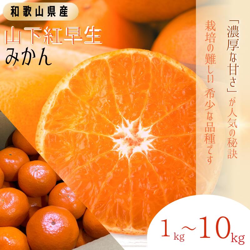 【ふるさと納税】 みかん 秀品 「紅娘」 山下紅早生 1kg 3kg 5kg 10kg 7000円 10000円 14000円 24000円【S~2Lサイズおまかせ】【2025年11月下旬～2025年12月中旬までに順次発送】＜味好農園＞《 レビューキャンペーン 実施中 ! 》/みかん 柑橘 温州みかん 和歌山県 有機