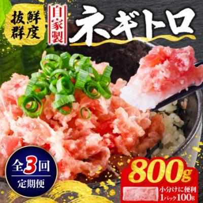 ふるさと納税 松山市 【毎月定期便】ネギトロ 月1回 800g (100g×8パック) 小分け全3回