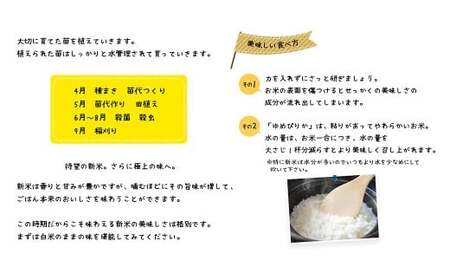 【令和7年産】 蘭越産 ゆめぴりか玄米 10kg 【2026年3月下旬まで順次発送予定】 玄米 米 お米 コメ ゆめぴりか 冷めても おいしい 常温 北海道 蘭越町
