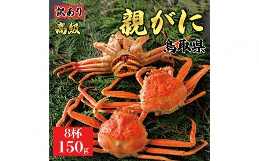 
                  【2026年11月発送】鳥取県産 特撰 親がに 姿【セコガニ】（茹）【訳あり】150g 8杯
                