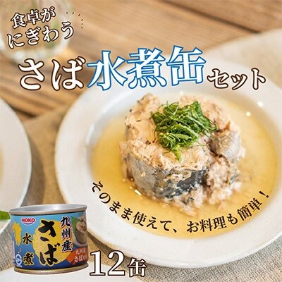 【毎月定期便】さば水煮缶セット(12缶)全3回【配送不可地域：離島】【4082371】
