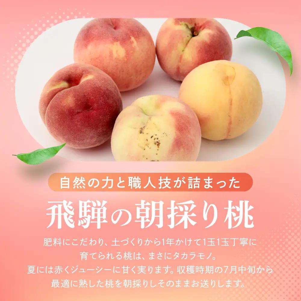 訳あり 桃 飛騨の桃（4-8玉）