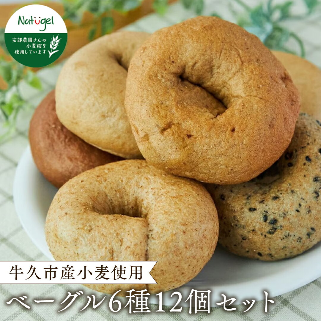 【ふるさと納税】牛久市産 小麦 の ベーグル 6種・12個セット 全粒粉 シナモン レーズン ココア チョコ あずき ごま いちじく 無添加 農薬不使用 小麦 おうちカフェ お菓子 おやつ モーニング ブランチ 朝食 パン お取り寄せ 詰め合わせ セット お土産 プチギフト 贈り物