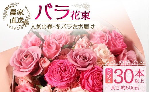 ※先行予約※【日付指定必須・ギフト対応可】ばら農家直送！人気の春・冬薔薇をお届け♪ バラ花束30本以上(ピンク系) TB-14│ローズ 新鮮 花 フラワー 花束 ばら 薔薇 バラ 誕生日 記念日 結婚祝い ギフト プレゼント お祝い 贈り物 贈答 鹿児島県 南大隅町 富田バラ園