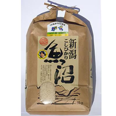 ふるさと納税 魚沼市 【毎月定期便】ツバメの飛び交う棚田米 精米5kg全12回