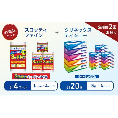 ふるさと納税 岩沼市 【6ヶ月ごと計2回お届け】ティッシュ+キッチンペーパー4P[No.5704-1801] |  | 01