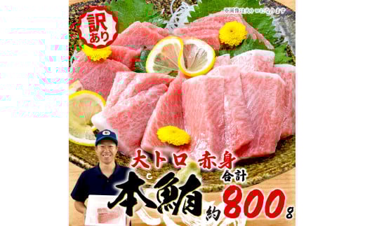 【組み合わせが選べる】 訳あり 本まぐろ 大とろ 赤身 セット 約 800g 不定型柵 鮪 まぐろ 大トロ 冷凍 鮪 漬け マグロ ユッケ 海鮮 本マグロ 本まぐろ 人気 まぐろ おいしい まぐろ 静岡 藤枝