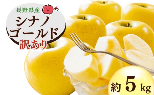 【2026年先行予約】千曲市産 シナノゴールド りんご 約5kg 訳あり 家庭用 | 林檎 リンゴ アップル 果物 くだもの フルーツ 5キロ わけあり 訳アリ お取り寄せ 産地直送 長野県産 信州林檎 信州りんご 信州 長野 千曲市