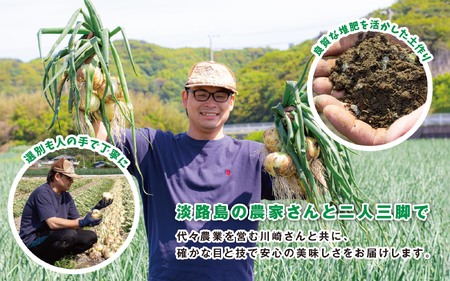 海月館 自社農場栽培！淡路島産 玉ねぎ 10kg