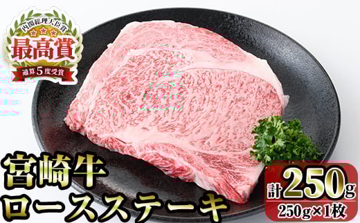 宮崎牛ロースステーキ(250g) お肉 牛肉 黒毛和牛 ブランド和牛 冷凍 国産 焼肉 BBQ 【R-88】【ミヤチク】