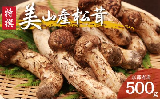 [№5334-0702]数量限定 天然 京都丹波産 松茸 500g まつたけ