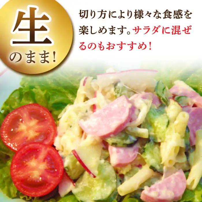 【3回定期便】宮地ハムのロングセラー ボロニアソーセージ 100g×6本 /宮地ハム [UBM011] ソーセージ