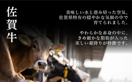 ＜定期便3回＞佐賀牛ハンバーグ 計2.7kg (150g×6個×3回)