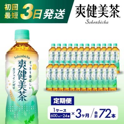 ふるさと納税 三原市 【定期便3か月】爽健美茶600ml PET 24本セット[014-059]