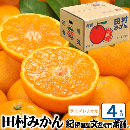 【予約受付】田村みかん 秀品 4kg サイズおまかせ/紀州和歌山有田郡湯浅町田村地区産 ◆2025年11月下旬～2026年1月中旬頃に順次発送(お届け日指定不可)　紀伊国屋文左衛門本舗