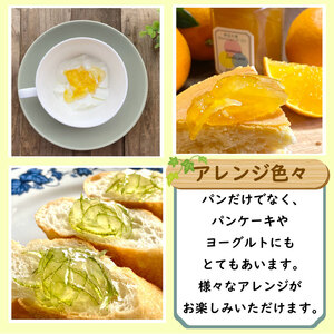 【 ジャム 定期便 3回 】 季節のジャム おまかせ3種 160g×3本 計9種