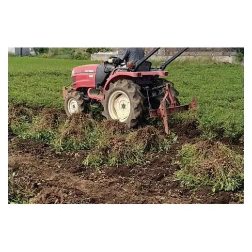 茨城県阿見町産 落花生 中手豊 300ｇ×3袋入り【ピーナッツ おつまみ 殻付き 国産 阿見町 茨城県】（04-27）