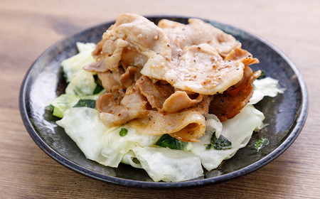 JAPAN X 味付ロース5点セット 生姜焼き1パック・山賊焼き4パック　豚肉 豚 ブランド豚 小分け ロース 豚ロース 味付 時短 生姜焼き 山賊焼き ジャパンエックス 蔵王 人気　【04301-0