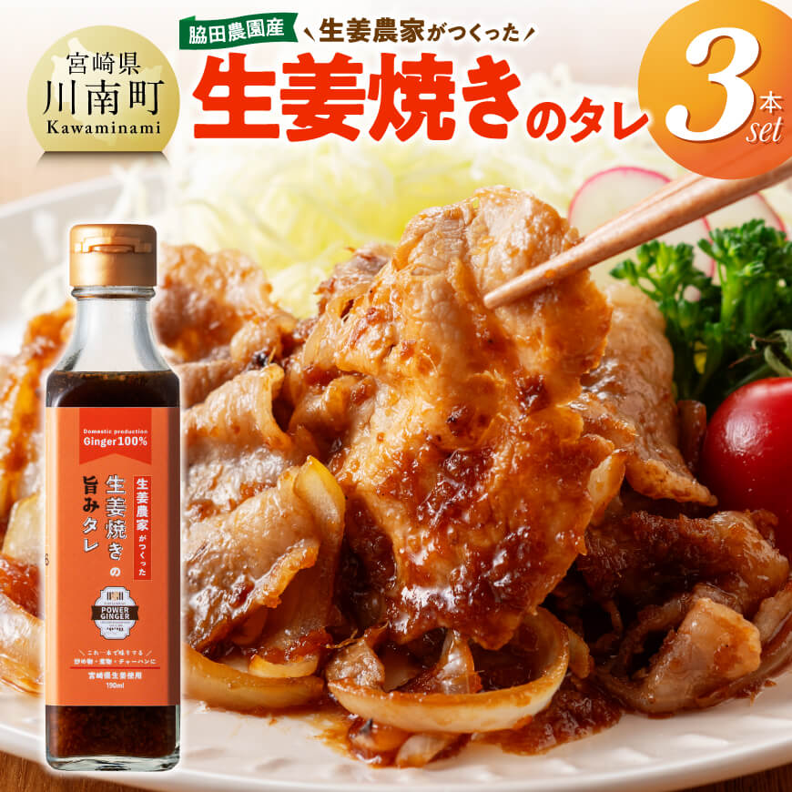【ふるさと納税】脇田農園産　生姜農家が作った生姜焼きのタレ3本セット - 生姜 ショウガ 国産 宮崎県産 九州産 川南町産 農家直送 しょうが 生姜焼きのたれ セット 送料無料 C07002