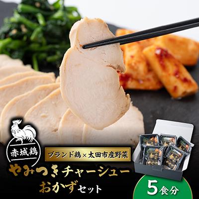 ふるさと納税 太田市 赤城鶏やみつきチャーシュー おかずセット×5食分