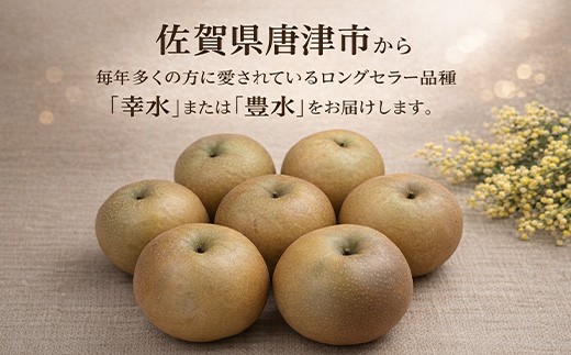 佐賀県唐津市から、毎年多くの方に愛されている
ロングセラー品種「幸水」または「豊水」をお届けします。