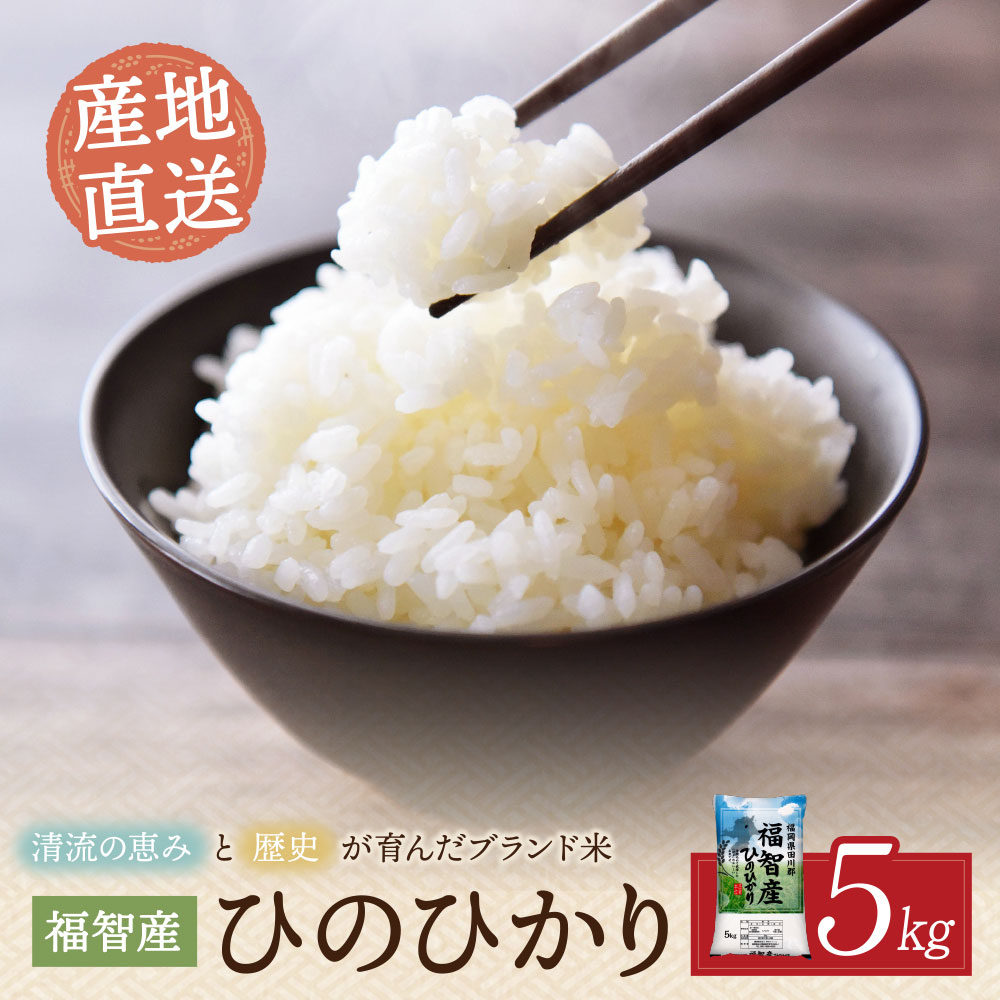 【ふるさと納税】レビューキャンペーン 福智町産ブランド米 ヒノヒカリ 5kg ブランド米 福岡県産 お米 こめ 日常 銘柄 おいしい 人気 5キロ ひのひかり 産地直送 伊方 福岡県 福智町 国産 送料無料 《福智町チャンス》