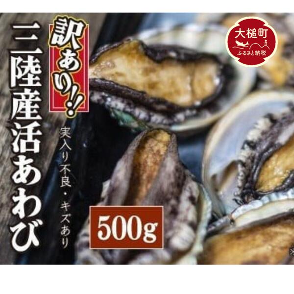 【ふるさと納税】※※訳あり※※ 三陸産 活 アワビ 約500g(3〜5個) / 約1kg (6～10個) 魚貝 鮮度抜群 鮑 おせち用にどうぞ