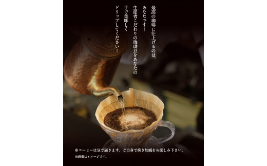竹炭焙煎 こたけ珈琲 200g×2袋 《30日以内に出荷予定(土日祝除く)》 コーヒー 株式会社コモリファーム---sc_kmcof_30d_21_11500_400g---