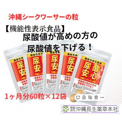 ふるさと納税 南城市 沖縄シークワーサーの粒【機能性表示食品】尿酸安心お試し1年分