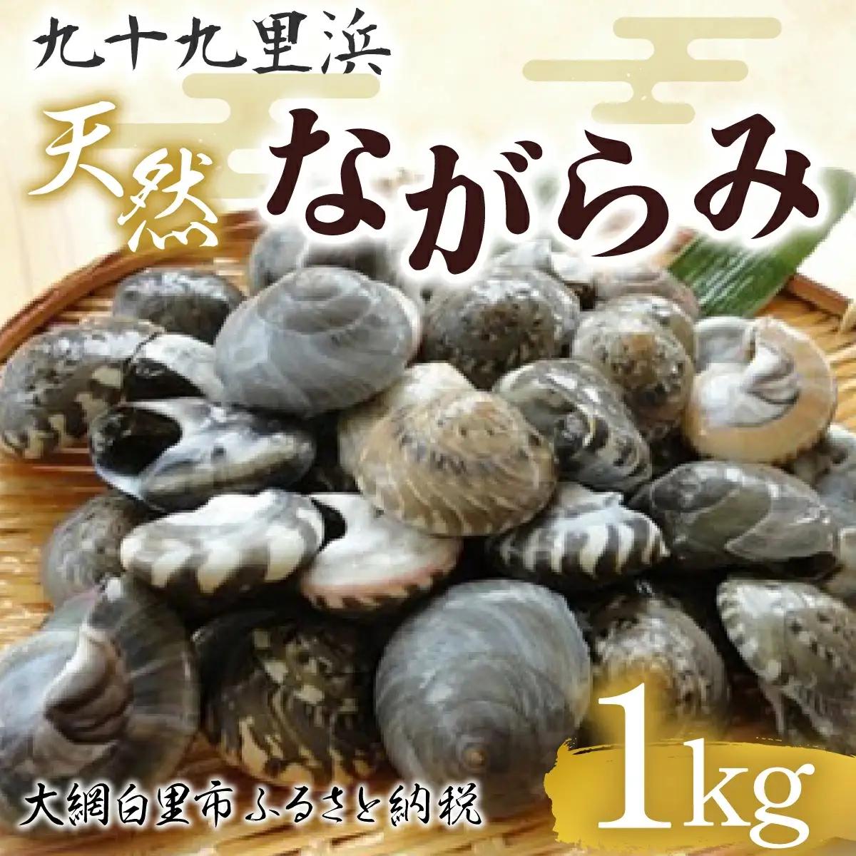 九十九里浜　天然ながらみ　1kg【名産】 ふるさと納税 ながらみ 幻の貝 九十九里産 貝 国産 千葉県 大網白里市 送料無料 P005
