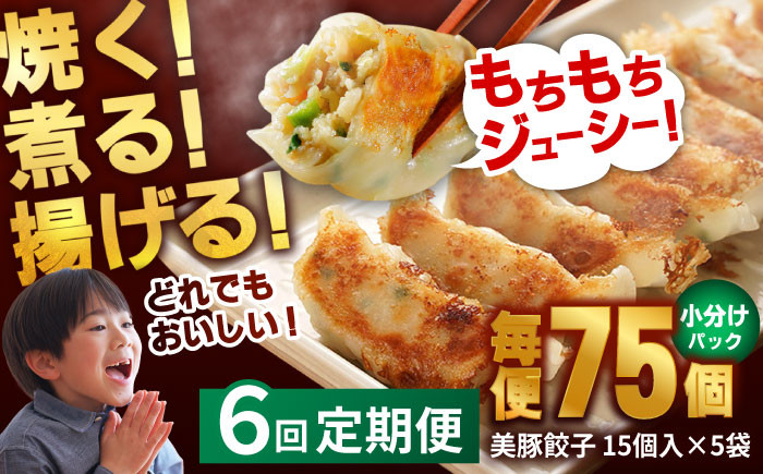 
            【全6回定期便】 美豚餃子 15個入×5袋セット おつまみ おかず 簡単【長崎フードサービス】 [PEL009] 冷凍 餃子 飲茶 中華 ぎょうざ ギョウザ
          