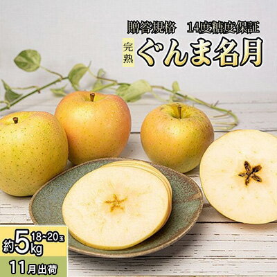 【ふるさと納税】11～12月 贈答規格 蜜入りぐんま名月 約5kg（18～20玉）14度糖度保証【青森りんご・ゆうきアップル・11月・12月】 果物 フルーツ 黄色りんご 高糖度 糖度14度以上 　お届け：2025年11月20日～2025年12月20日