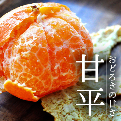 
            愛媛・八幡浜産「甘平:3kg」＜訳あり＞＜D48-43＞【1450449】
          