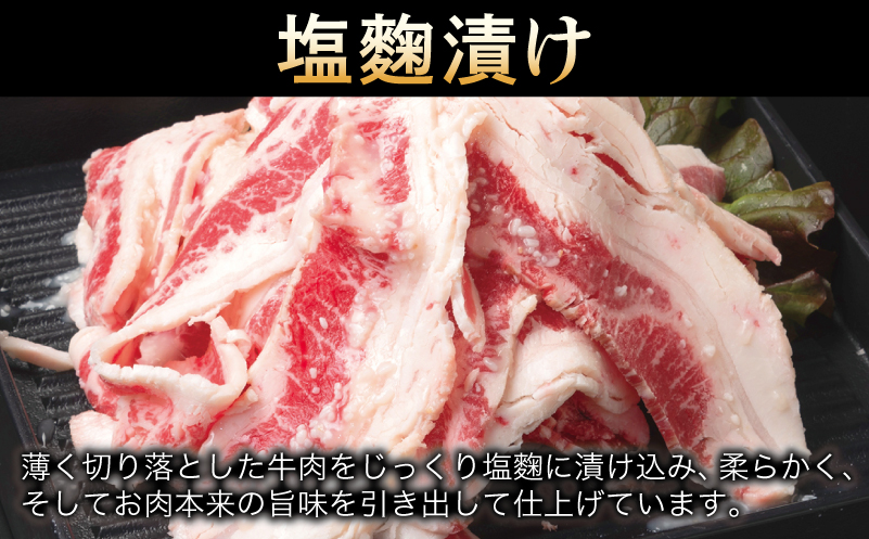 牛肉 切り落とし タレ漬け+塩麹漬け 合計1kg（250g×各2袋） 【味付け 小分け 焼くだけ 簡単調理 BBQ 牛肉 250g×4袋】 010B1670