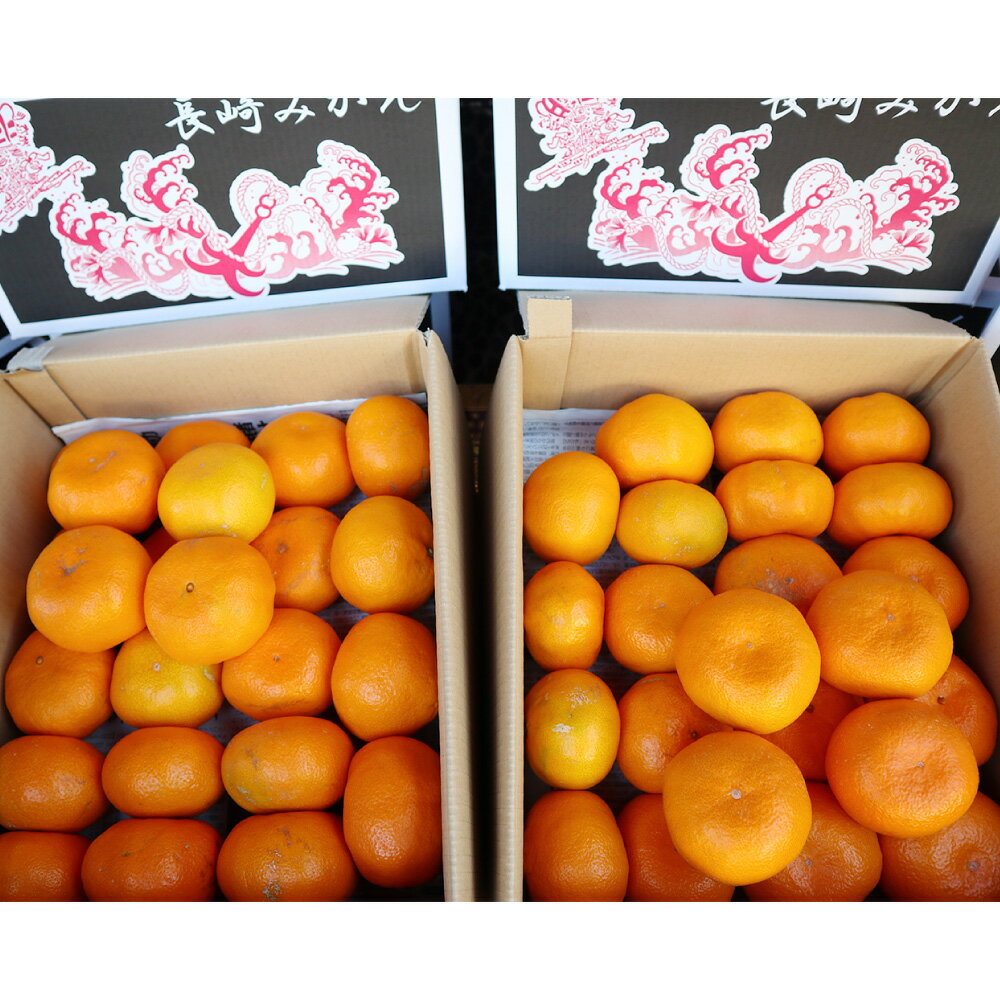 【ふるさと納税】長崎県産 訳あり 早生みかん 10kg （ご自宅用） ミカン 蜜柑 フルーツ くだもの 果物 果実 柑橘類 青果 国産 九州 長崎県 長崎市 送料無料 【2025年11月下旬～12月下旬迄発送予定】