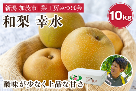 【2024年先行予約】新潟県産 和梨 幸水 10Kg（20～32玉） 《8月中旬以降発送》こうすい 果物 フルーツギフト 秋の味覚 加茂市 梨工房みつば会 梨 梨 梨 梨 梨