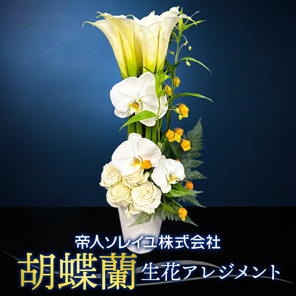 【ふるさと納税】【帝人ソレイユ】053（コ）胡蝶蘭　生花アレンジメント　配送不可地域：離島　《30日以内に出荷予定(土日祝除く)》