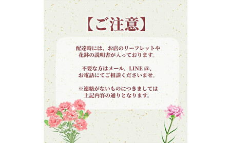 【定期便年3回　季節の花鉢】農林水産大臣賞を受賞したフローリストがアレンジする 季節を知らせる花鉢【 花 お花 神奈川県 小田原市 】