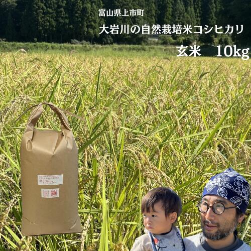 【ふるさと納税】米 大岩川の自然栽培米コシヒカリ 玄米 10kg [有吉自然農場 富山県 上市町 32280208-r6] お米 コメ ご飯 ごはん こしひかり 自然栽培米 富山県産
