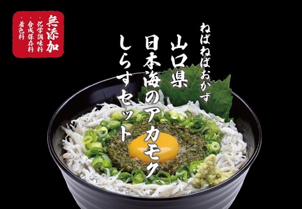 (1383)【定期便】絶品アカモクしらす丼 6食セット 毎月3ヶ月